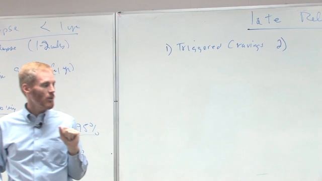 Drug and Alcohol Relapse!! (Dr. Todd Carran 5 of 6 Lectures) смотреть онлайн