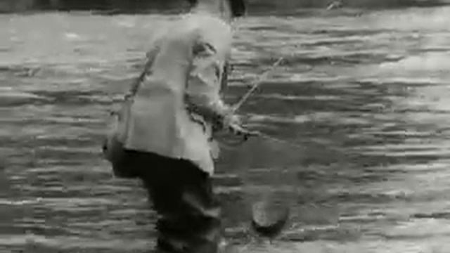 The Fine Art Of Trout Fishing. Australian Diary #43. смотреть онлайн