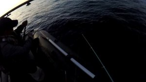 Летняя рыбалка на Байкале с лодки. Готовим снасти омуль есть.