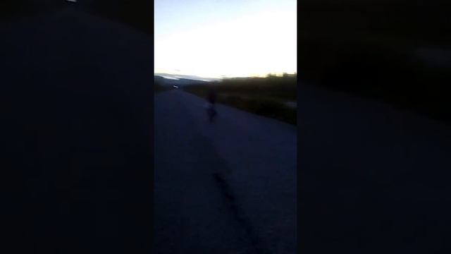 на ковдор смотреть онлайн