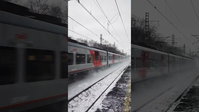 Электропоезд Ласточка пролетает станцию Останкино #москва #электропоезд #электропоезда смотреть онлайн