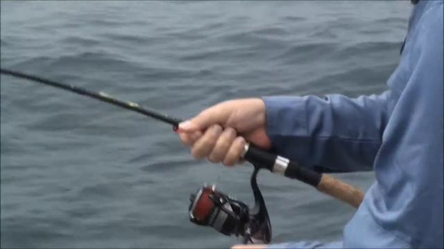 Port Dickson - Shimano Sustain 4000FG vs Queenfish (31.07.15) смотреть онлайн