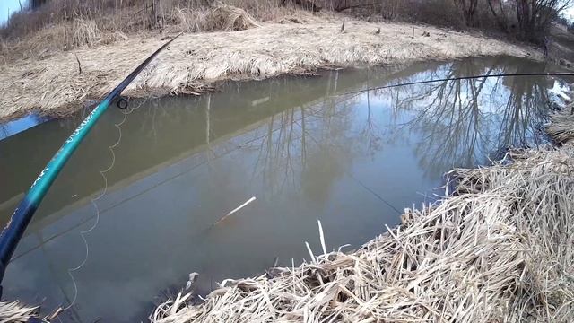Открытие сезона рыбалки 2019 на поплавок смотреть онлайн
