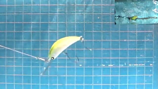 ZANMU35MR смотреть онлайн