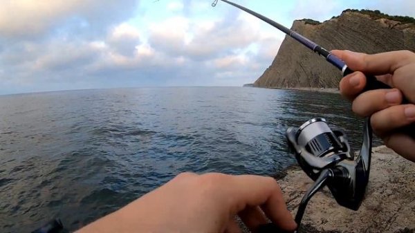 Обзор XESTA RUNWAY SLS S91-S 🔥🔥🔥