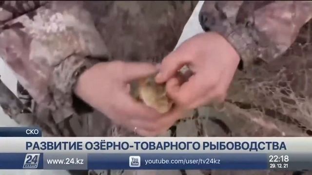 Про рыбоводство в СКО смотреть онлайн