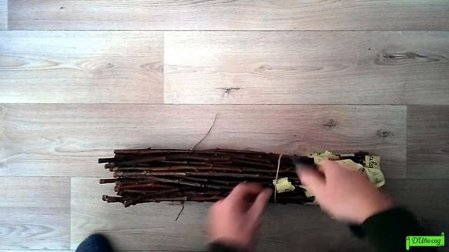 Распаковка посылки с черенками, Астрахань 2022г. смотреть онлайн