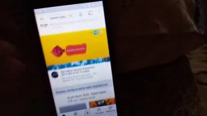 Куми Куми Обзор