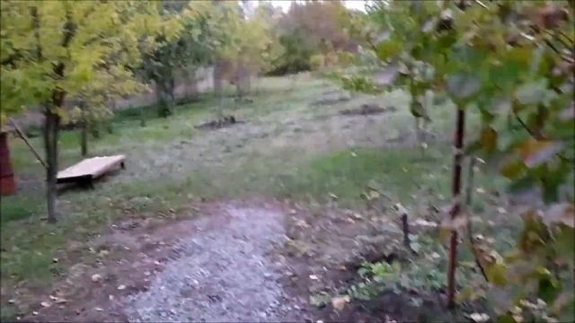 Дача спустя 2 года благоустройства. 2 октября 2021 год. смотреть онлайн