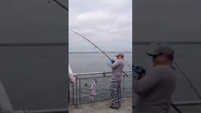 Ловля страйбаса в Бруклине смотреть онлайн