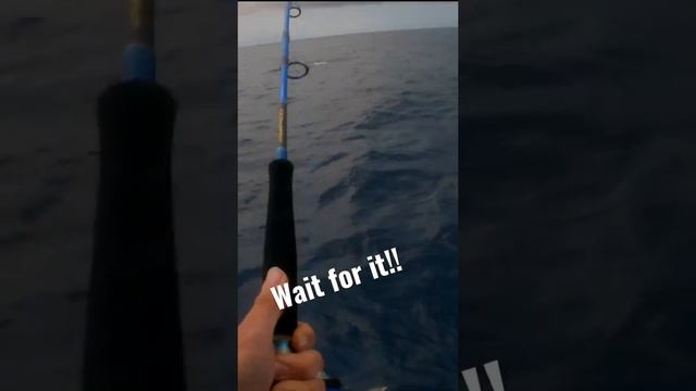 Not what you expect on a jig haha! #fishing #crazy #levelup смотреть онлайн