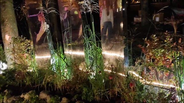 Фестиваль "Белгород в цвету" зажигает огни. 10 сентября 2023 год. смотреть онлайн