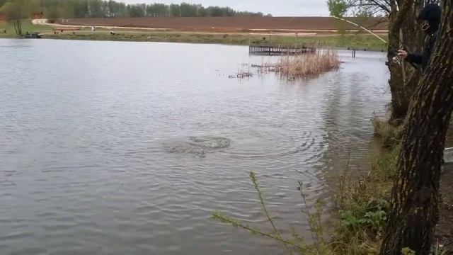 На блесну смотреть онлайн