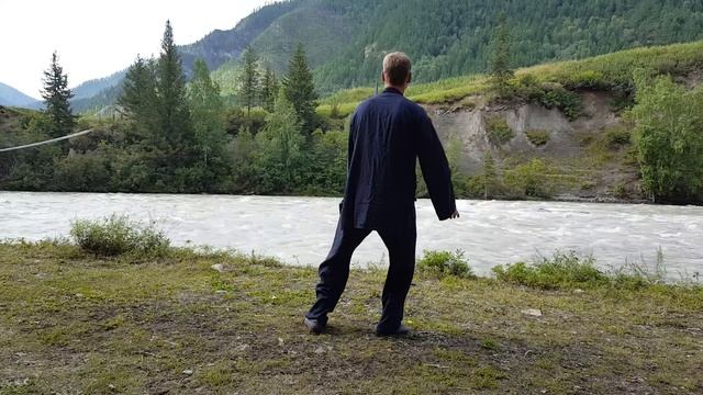 8 forms Taijiquan. Back view. 8 форм тайцзицюань - вид сзади смотреть онлайн