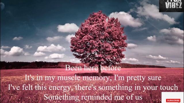 Alan Walker Sasha Alex Sloan Hero [Lyrics] смотреть онлайн