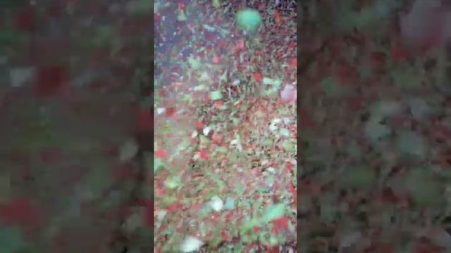 popper blast #poppers #popper #palli #church #churchofgod #kerala #malayalam смотреть онлайн