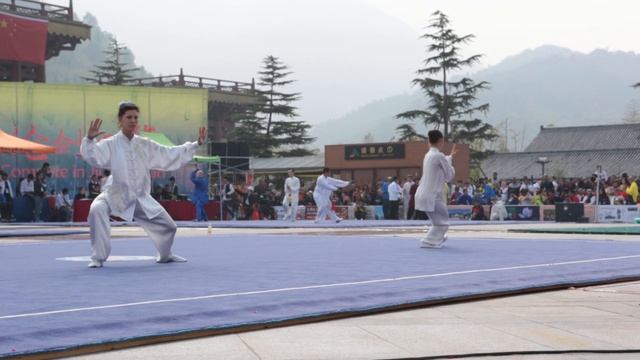 Darya Demchenko. 42 fofms taijiquan смотреть онлайн