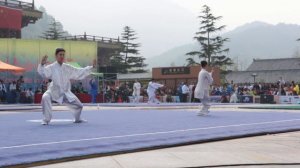 Darya Demchenko. 42 fofms taijiquan