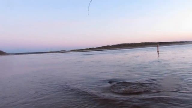 Трофейный жерех в 5 кг смотреть онлайн