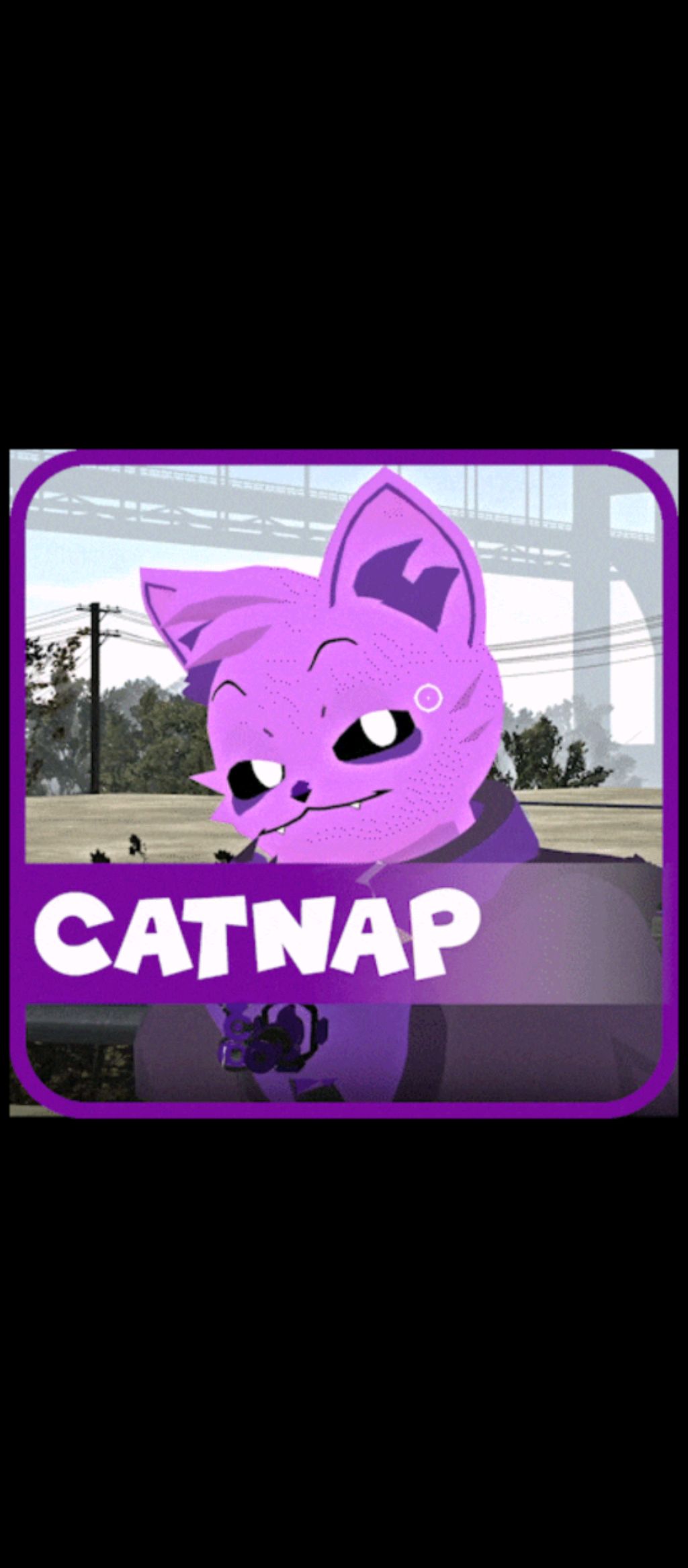 FNF Catnap