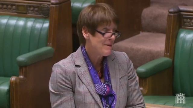Daniel Kawczynski MP questions Dame Caroline Spelman on maintaining our historical buildings смотреть онлайн
