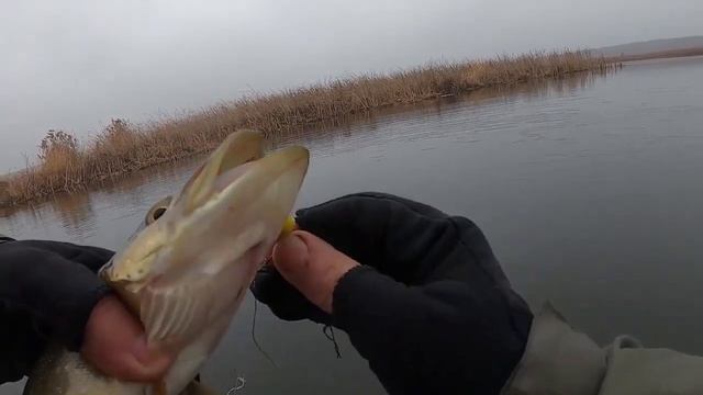 Щука с лодки. смотреть онлайн