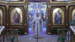 Богатство: неправедное и истинное. Проповедь священника Димитрия Лушникова.