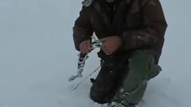 Щука на флажки.mp4 смотреть онлайн