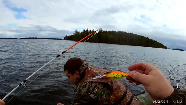 ВЫГОЗЕРО 2016.г Rapala Shad Rap Икона для ловли судака смотреть онлайн