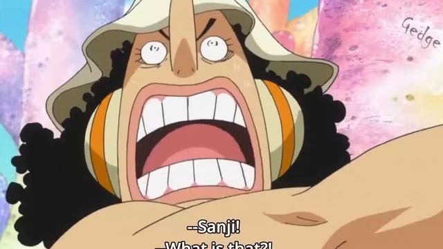 Is Sanji Really In Love With Nami??