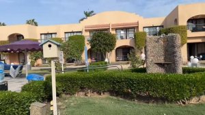 Али баба отель Хургада Египет - продолжение