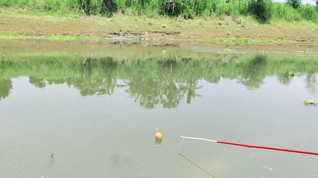 Best Hook Fish Trap 2023✅| Traditional Boy Hunting Fish By Fish Hook In Beautiful Nature 🐠🎣