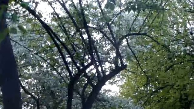 Озёрск здесь и сейчас Улица Пушкина смотреть онлайн