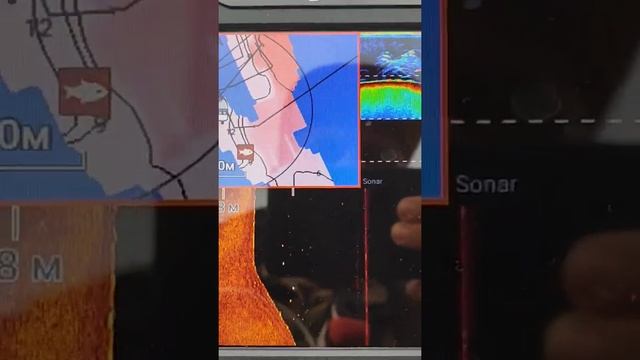 эхолот Raymarine Element смотреть онлайн