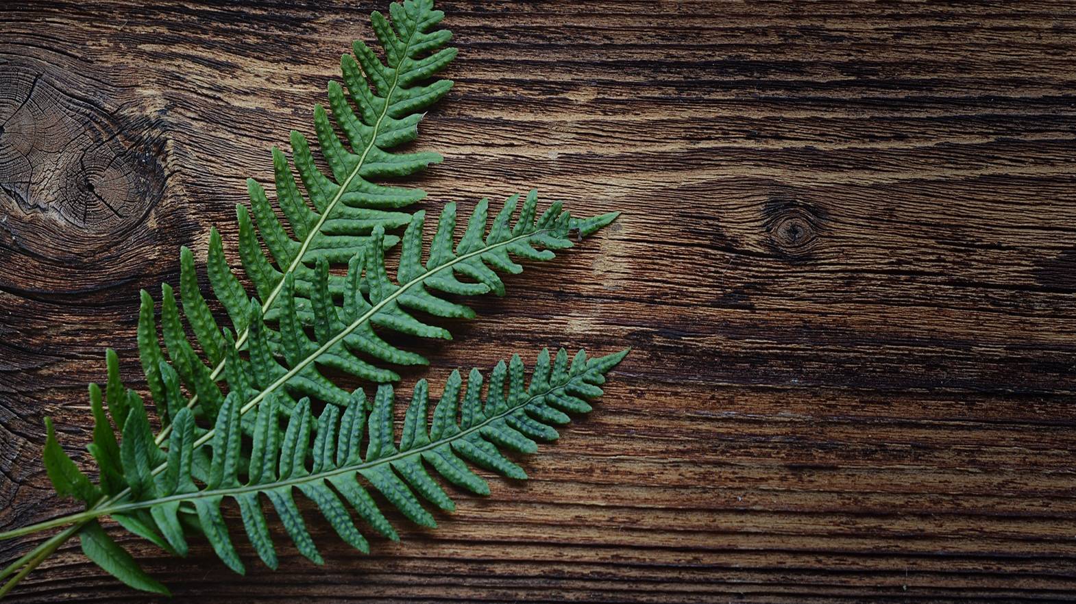 Ключи я выбросил в джазе смотреть онлайн