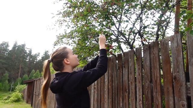 ЛЕТНИЙ VLOG ИЗ ДЕРЕВНИ | СМОТРИМ "ЗИМОРОДОК" смотреть онлайн