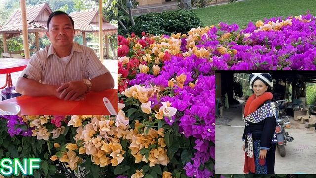 IU-MIENH NZUNG #054 BUNGZ WUONH BUV, JUOV liemh BAAUX DUQV NZUNG KUV MUANGX GAU смотреть онлайн