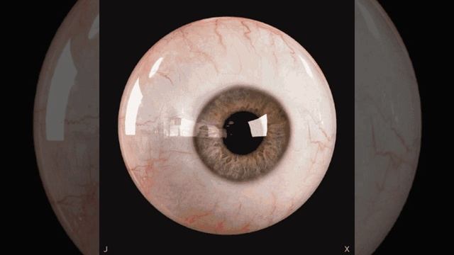 M.A.S.O.N смотреть онлайн