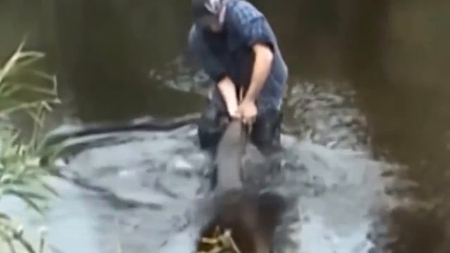 ПРИКОЛЫ НА РЫБАЛКЕ 30 смотреть онлайн