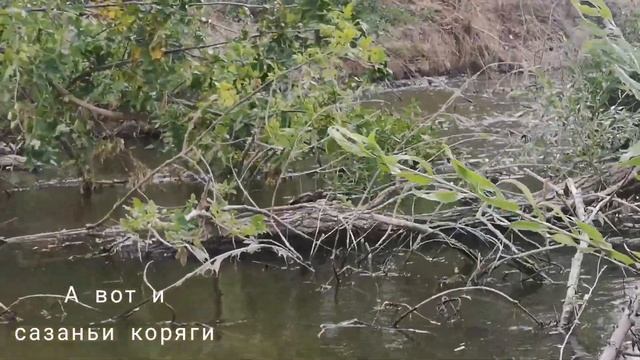 Щучки на котлеты. Ерик Казачий. #сазан #щуки смотреть онлайн