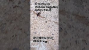 Находка под плитой!