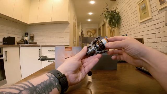 Avižadrebis - Mifine Eurybia & KastKing Kestrel