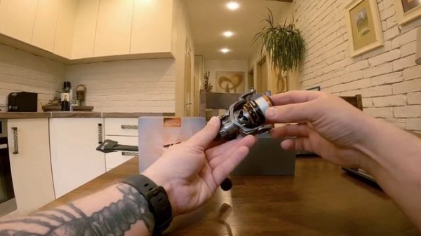 Avižadrebis - Mifine Eurybia & KastKing Kestrel