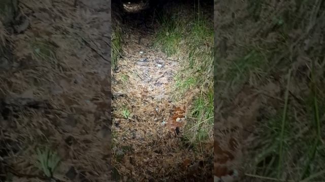 БЫТЬ НЕ МОЖЕТ! ОНИ ВСЁ ТАКИ ЕСТЬ! смотреть онлайн