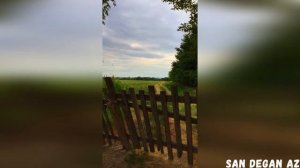 Хусейн Бетельгериев Красивая Песня💗Д1а Ма Г1охьа Хьо💗2020