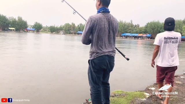 Máy Câu Cá Shimano Stella 2008 | Kéo cá 11,84 Kg | Chung Nguyễn Fishing смотреть онлайн