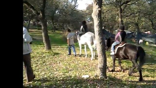 Pony Galop-Music:Marlen Adamadze-Pony Music-Poni Müziği-Arange-Tolga Karaca смотреть онлайн