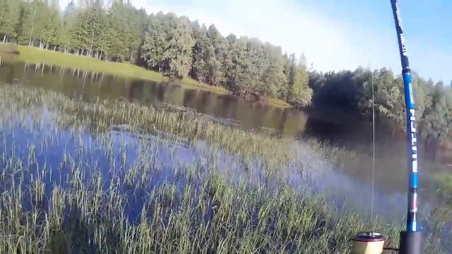 Вечерняя рыбалка 12.07.2018 смотреть онлайн