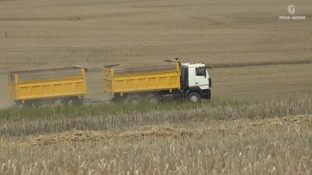 Председатель ФПБ Михаил Орда поздравил передовиков жатвы смотреть онлайн