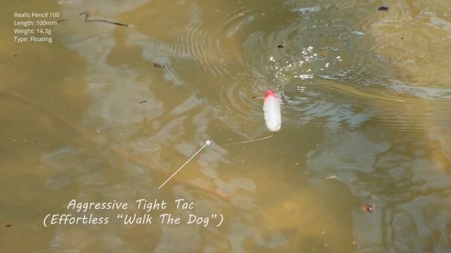 Lures in Motion : The Realis Pencil 100 смотреть онлайн